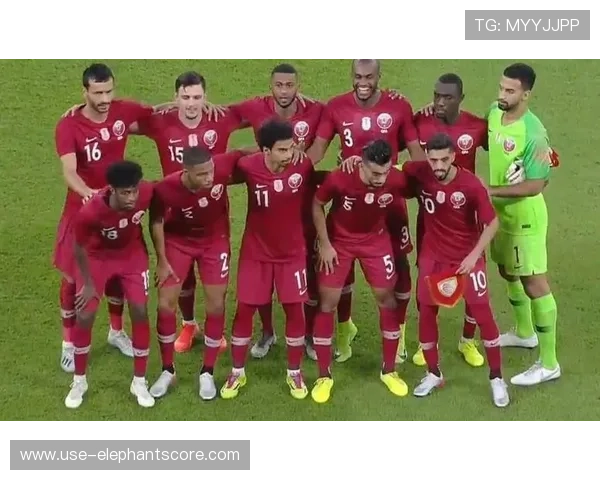 塞内加尔世界杯出线形势影响因素全面解析与应对策略 塞内加尔世界杯出线形势影响因素全面解析与应对策略